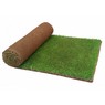 Arena Turf