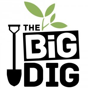 Big Dig Big Dig
