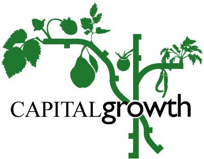Capital Growth Capital Growth