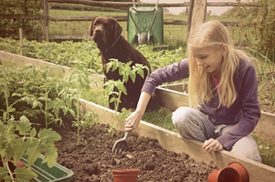 Garden for health &amp; happiness